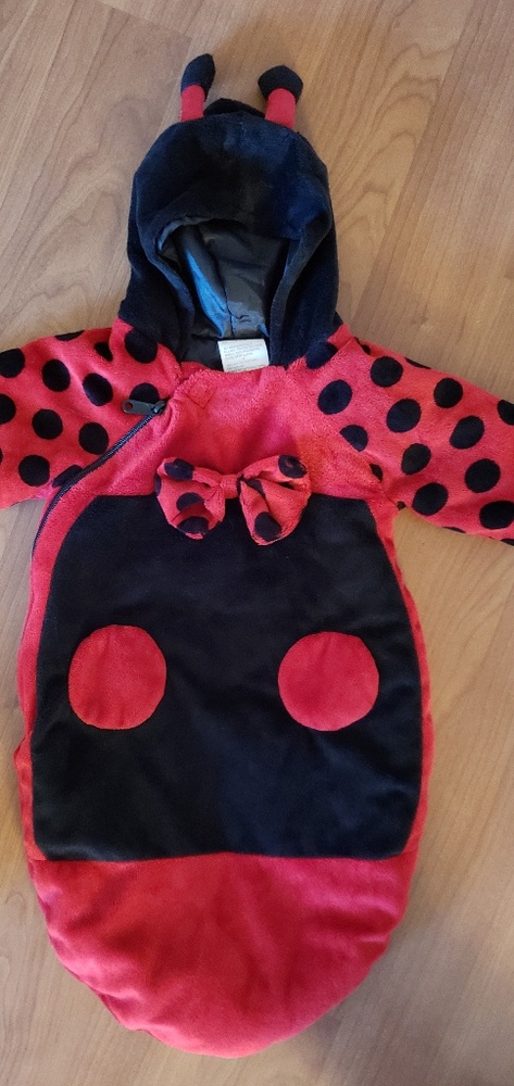 Ladybug costume